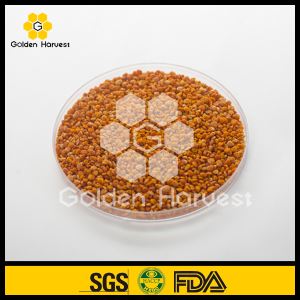 Te Pollen Te Be Pollen